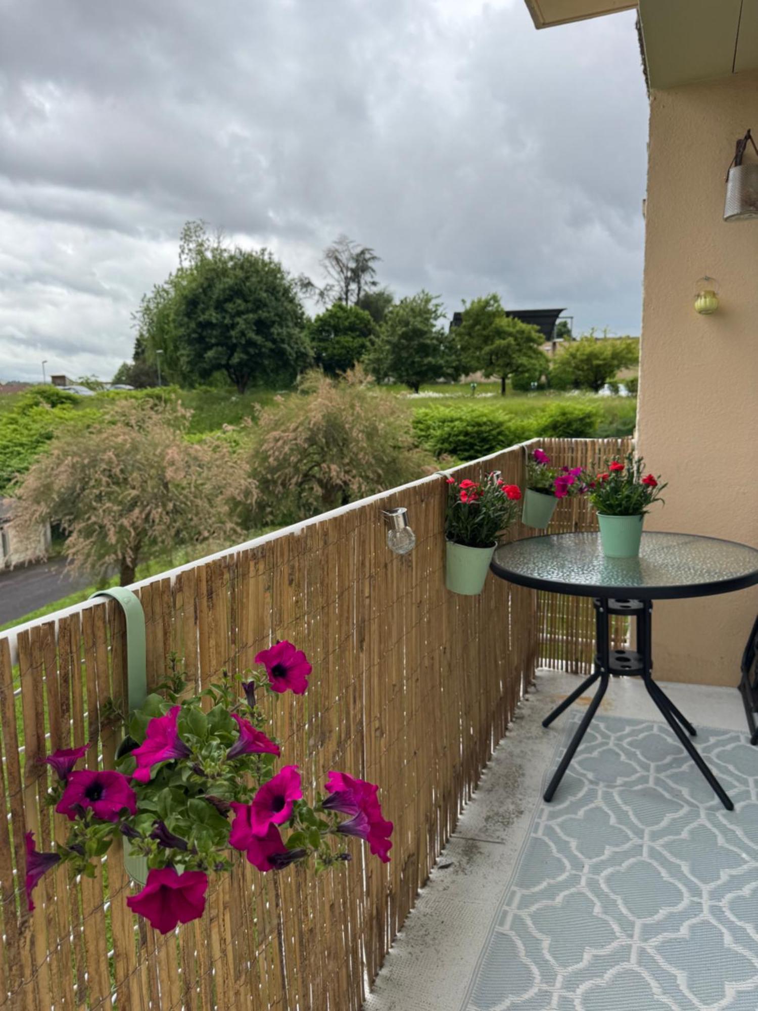 Appartement Chaleureux Et Spacieux T3 里摩日 外观 照片